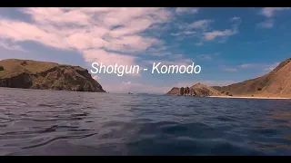 Shotgun - Komodo