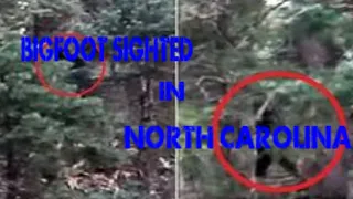 Bigfoot Sighted in North Carolina