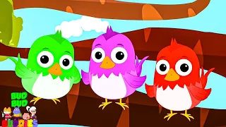 Count - Five Little Birds + More Nursery Rhymes & Baby Songs