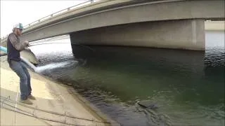 friend almost falls in aqueduct grabbing a big catfish