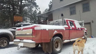 1993 Ford F350 7.3 idi cold start