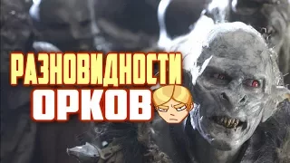 Монстрология: Орки (Властелин Колец)