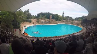 LoroParque