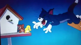 Tom and Jerry Slapstick Compilation