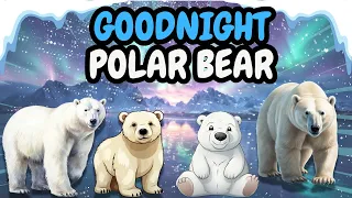 Goodnight Polar Bear - Children's Bed Time Story