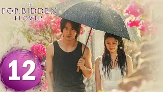 【The Forbidden Flower】EP12——Starring: Jerry Yan, Xu Ruohan | ENG SUB