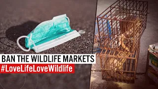 Ban the wildlife markets