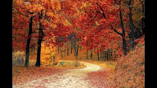 Vivaldi ~ Autumn - 2020 - (Full)