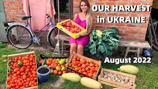 VILLAGE LIFE in UKRAINE l Our Harvest 2022