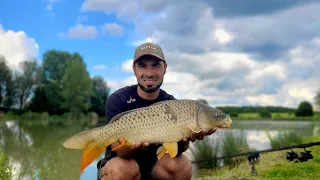 PÊCHE À LA CARPE - Park Lake - Le partage