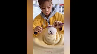 【Compilation】Dog Pet Puppy Pomeranian Grooming Teddy bear style ! dogs story !!! #short 65