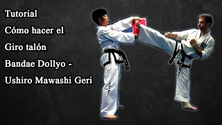 TUTORIAL GIRO TALON   Bandae Dollyo Chagy   Ushiro Mawashi Geri    En Español