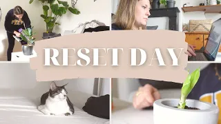 RESET DAY | Unpacking, Creating A Healthy Routine, Spring Cleaning, Putting My Life Together