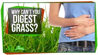 Why Can't You Digest Grass?