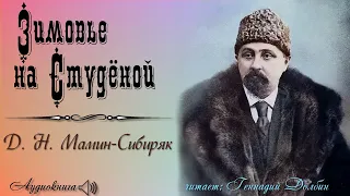 Д. Н. Мамин-Сибиряк. ЗИМОВЬЕ НА СТУДЁНОЙ. Рассказ. Аудиокнига