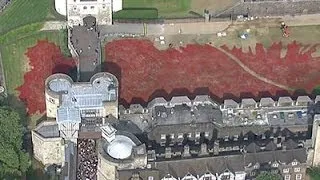 Raw: Poppies at Tower of London Honor WWI Dead