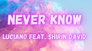 Luciano feat. Shirin David - Never Know (lyrics)