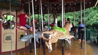 Archi in wild Carousel at Nashville zoo