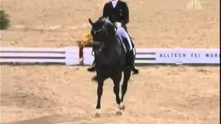 Edward Gal and Moorlands Totilas Musical Freestyle WEG 2010