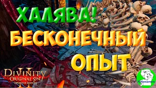 Divinity Orginal Sin 2: Defenitive Edition - Бесконечный опыт и способ его быстро набрать! Халява!