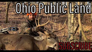 Ohio Public Land Rut | Big Buck Down | Self Filmed Bow Hunt