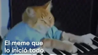 El famoso meme de keyboard cat - Fractal