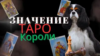 Значение Таро - Короли ♚ / Бесплатное Обучение Таро