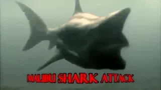 Malibu Shark Attack: Kill-Count