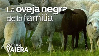 LA OVEJA NEGRA DE LA FAMILIA - Extracto de Vaiera 2017