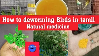 How  to deworming birds /Natural medicine/in tamil/SJ Birds World☘☘☘