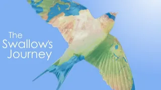 SOUNDSCAPE: THE SWALLOW'S JOURNEY - Follow the flight of a swallow from Africa to the UK.