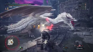 Day 4 of Hunting (white) Fatalis until Monster Hunter Wilds releases