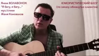 ЯНЕЖ ВОЛАВОНОК "Я БЕГУ, Я БЕГУ..." (по заказу обманутых клиентов)