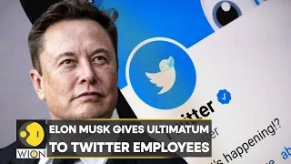 World Business Watch | 'Work like a dog or ship out': Elon Musk to Twitter staff | English News