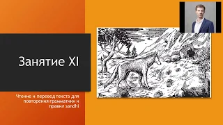 Курс грамматики санскрита МГУ, занятие 13 (Учебник В.А. Кочергиной, Урок XI, часть I) (Хитрый Шакал)