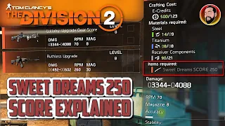 *UPDATE* READ THE DESCRIPTION! The Elusive Sweet Dreams Score 250 | The Division 2