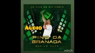 Pino da Granada - Murilo Huff