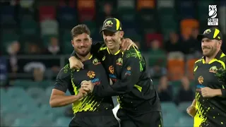 Mens T20 Player of the Year: Marcus Stoinis - Australian Cricket Awards 2023