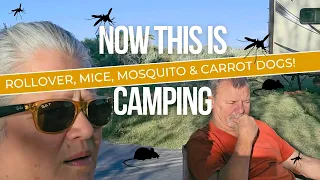 Strangers In Camp, Rolled Truck, Mice, Mosquito, Carrot Dog! What More Do You Want While Camping!?