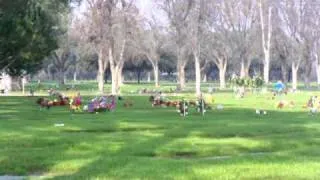 REAL!!!!!👀👻🎃Ghost in cemetery pacing back and forth caught on tape Shafter, Ca./MBJreport