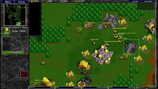 Warcraft 2 4.3.2024