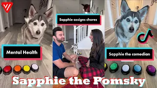 Funny Dog Tik Toks 2023 | Best @sapphie_the_pomsky TikTok Videos