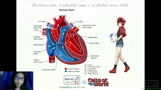 Circulatory System ระบบไหลเวียนเลือด #Cell_at_Work!