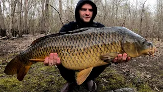 Massachusetts Giant Carp Fishing- 3 state pin fish caught!