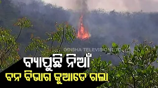 Watch- Fire Breaks Out At Bagharakhol Forest Near Chandaka