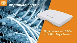 Подключение и настройка конвертера видеодомофона Novicam IP BOX по LAN с Tuya Smart|Smart Life
