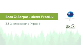 Лісовий курс. Блок 3. Відео 3.3 Знеліснення в Україні