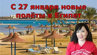 TEZ Tour с 27 января возобновляет полёты в Египет. ЦЕНЫ на туры в Шарм-Эль-Шейх и Хургаду