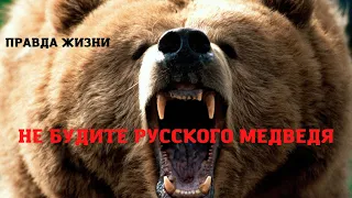 Потрясающий стих "Не будите русского медведя" Константин Фролов-Крымский
