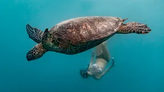 Swimming with SEA TURTLES || Boat Life in Rarotonga, Cook Islands 🏝️